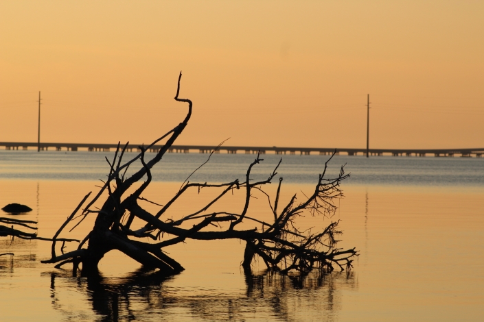 Peaceful Water